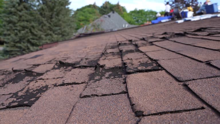 Best Slate Roofing  in Centerville, MN